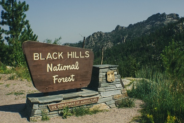 Architectural Monument Signs for Black Hills National Forest